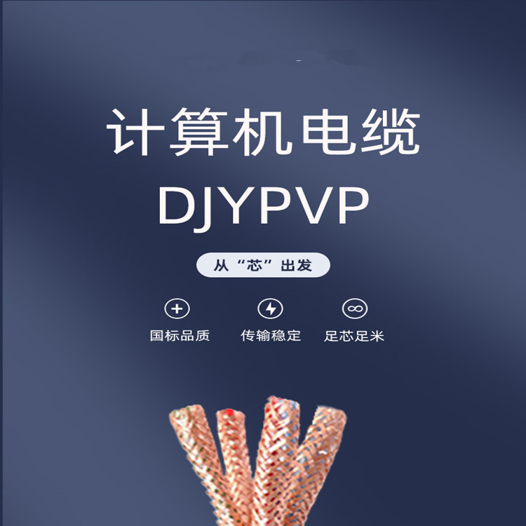 DJYP3VP3計算機電纜