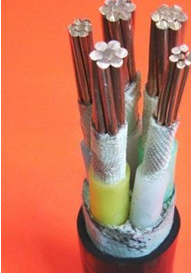 17237943902816.png image.png