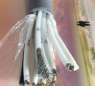 17319832722634.png image.png