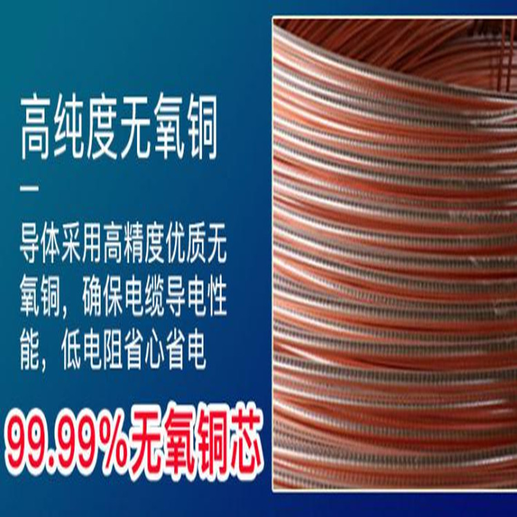 JE-LIYCY 10×2×0.5柔性電纜